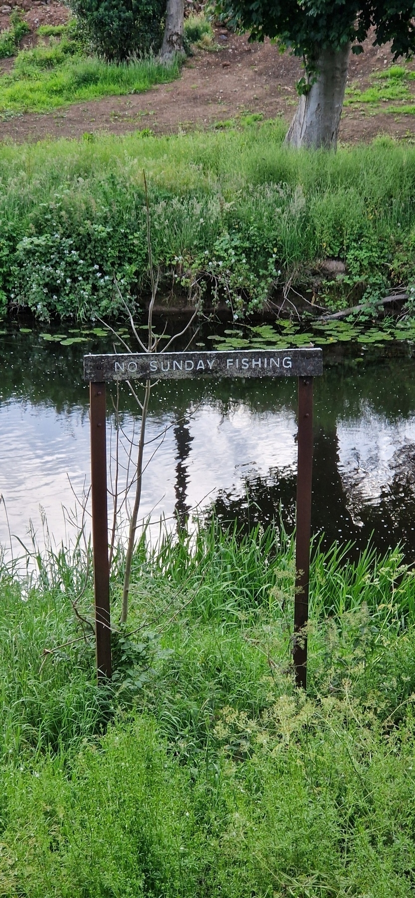 A sign by a riverside reads "NO SUNDAY FISHING" surrounded by greenery and trees.